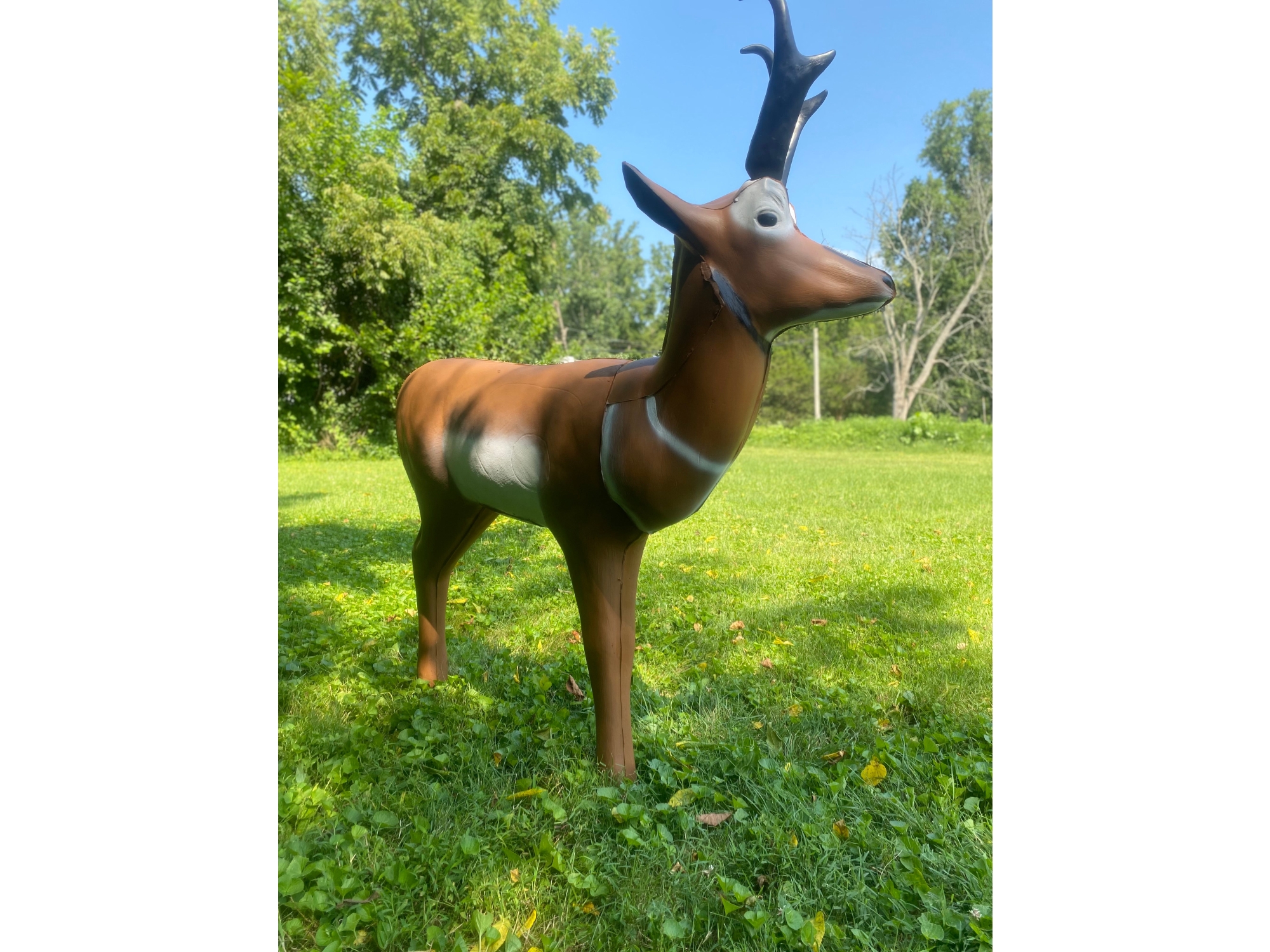 Real Wild 3D, Image 4