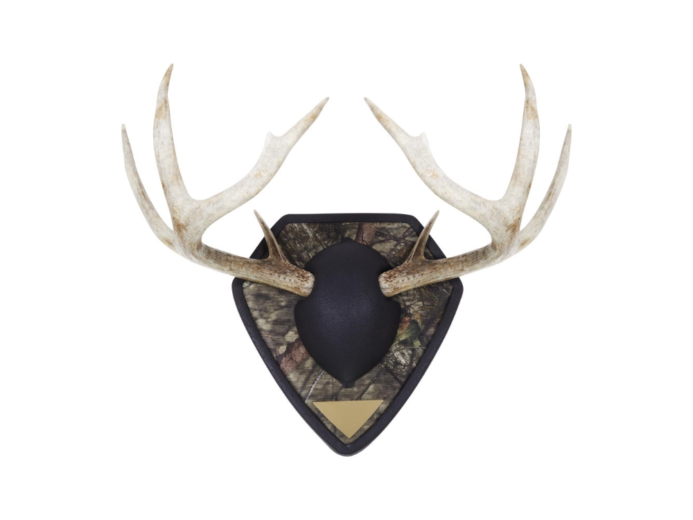 Allen Big Buck, Image 2