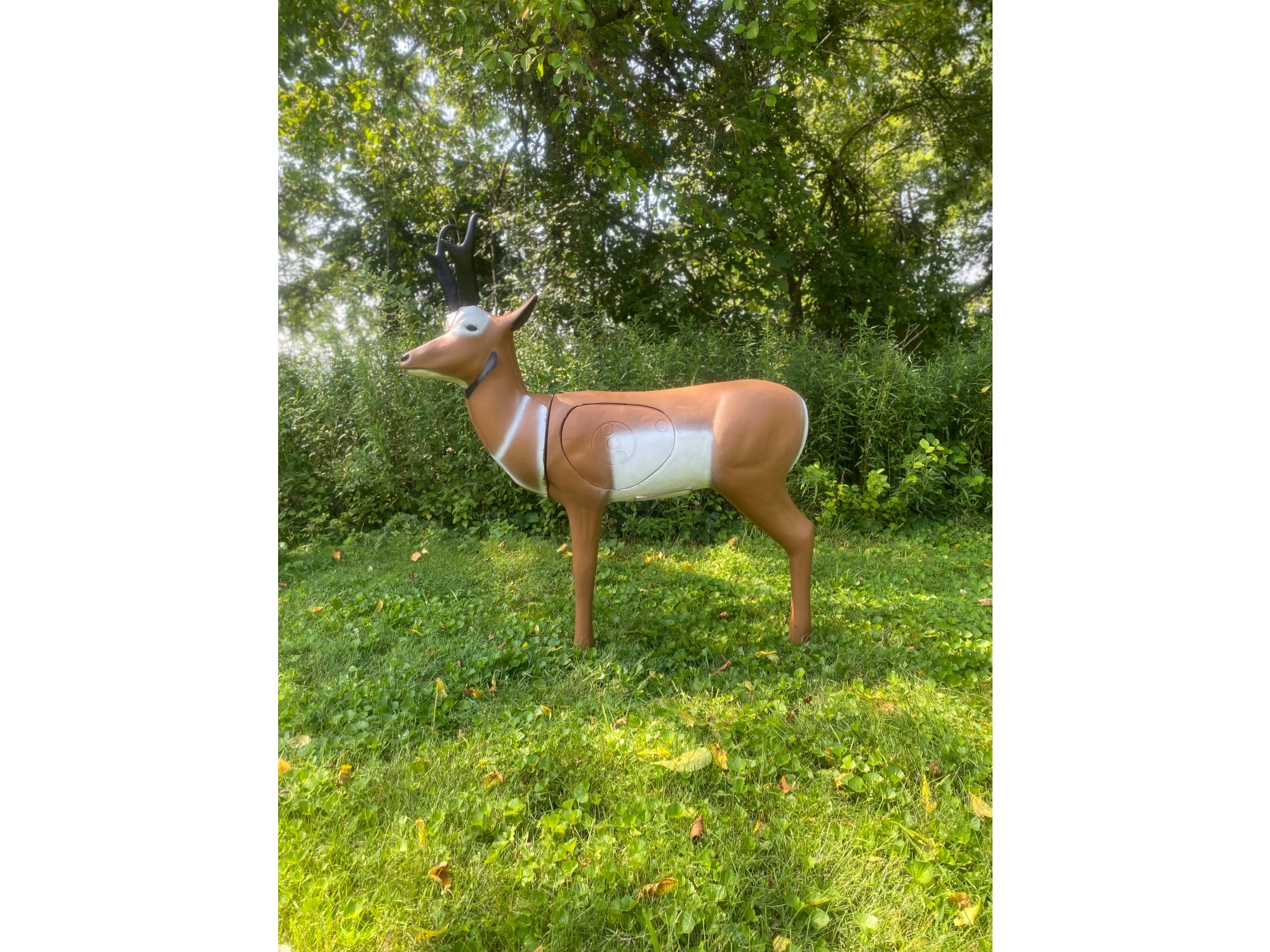Real Wild 3D, Image 2