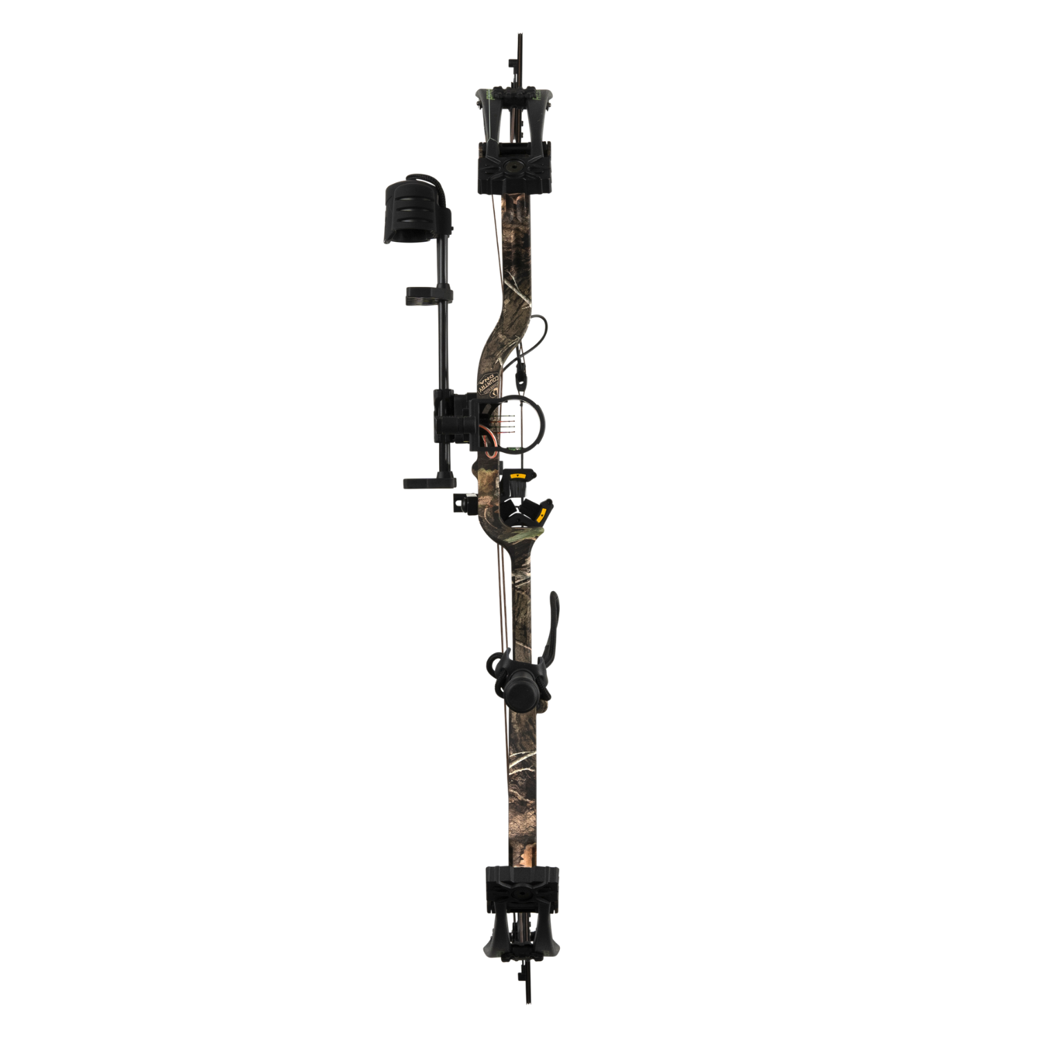 Bear Species EV, Image 3