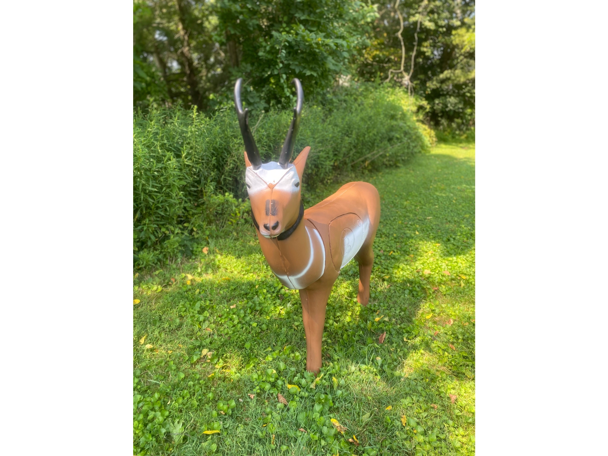 Real Wild 3D, Image 3