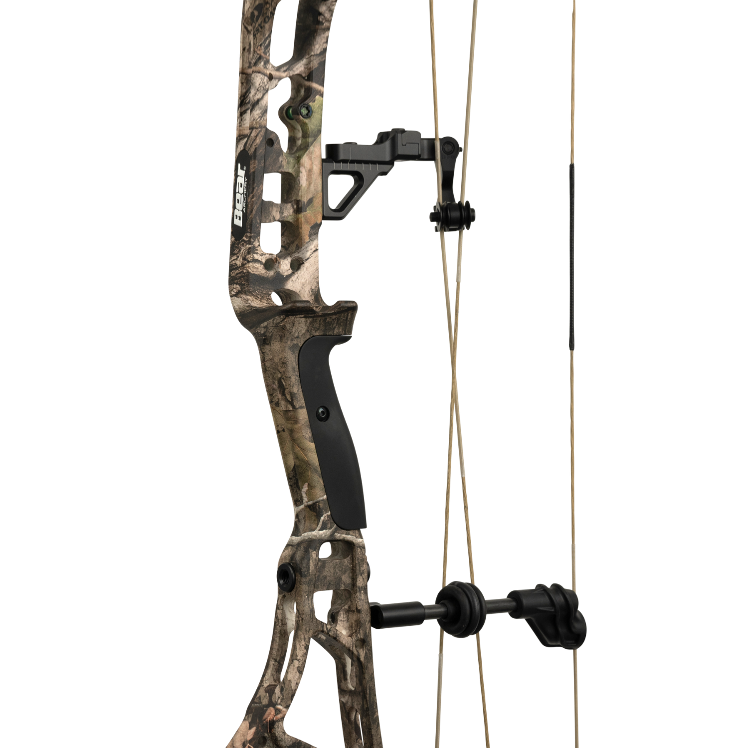 Bear Execute 32, Image 6