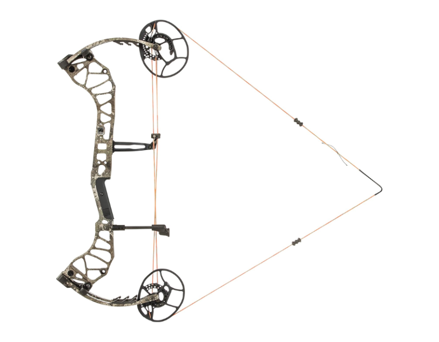 Bear Divergent, Image 2