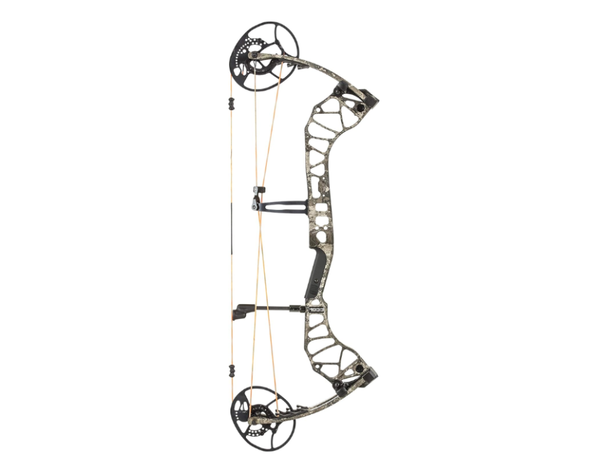 Bear Divergent, Image 5