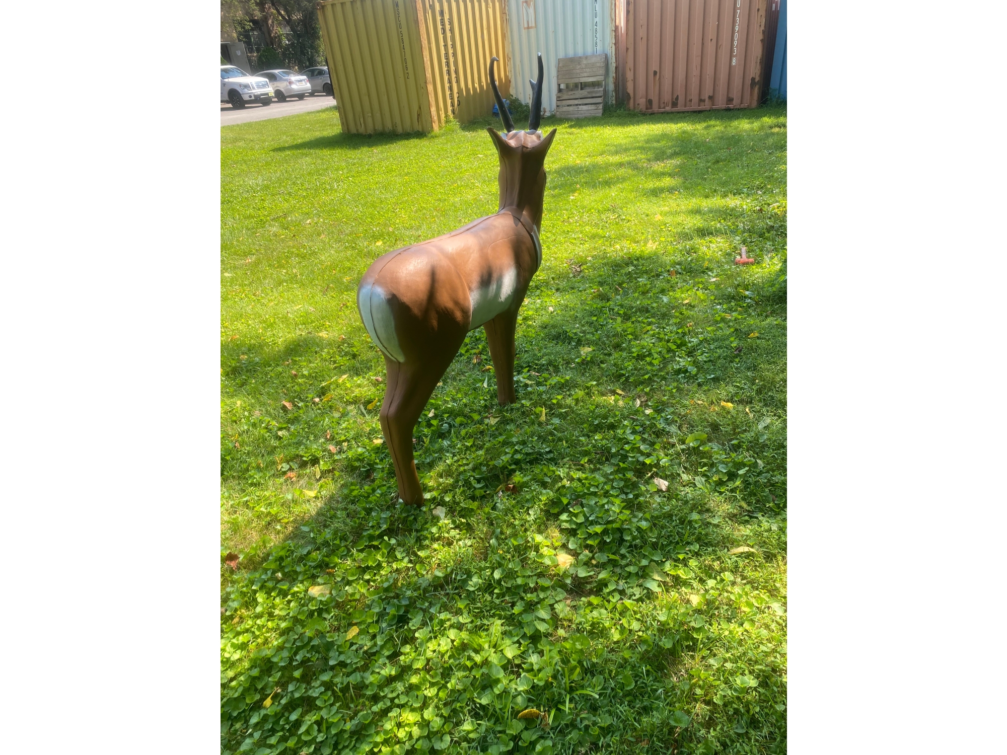 Real Wild 3D, Image 5