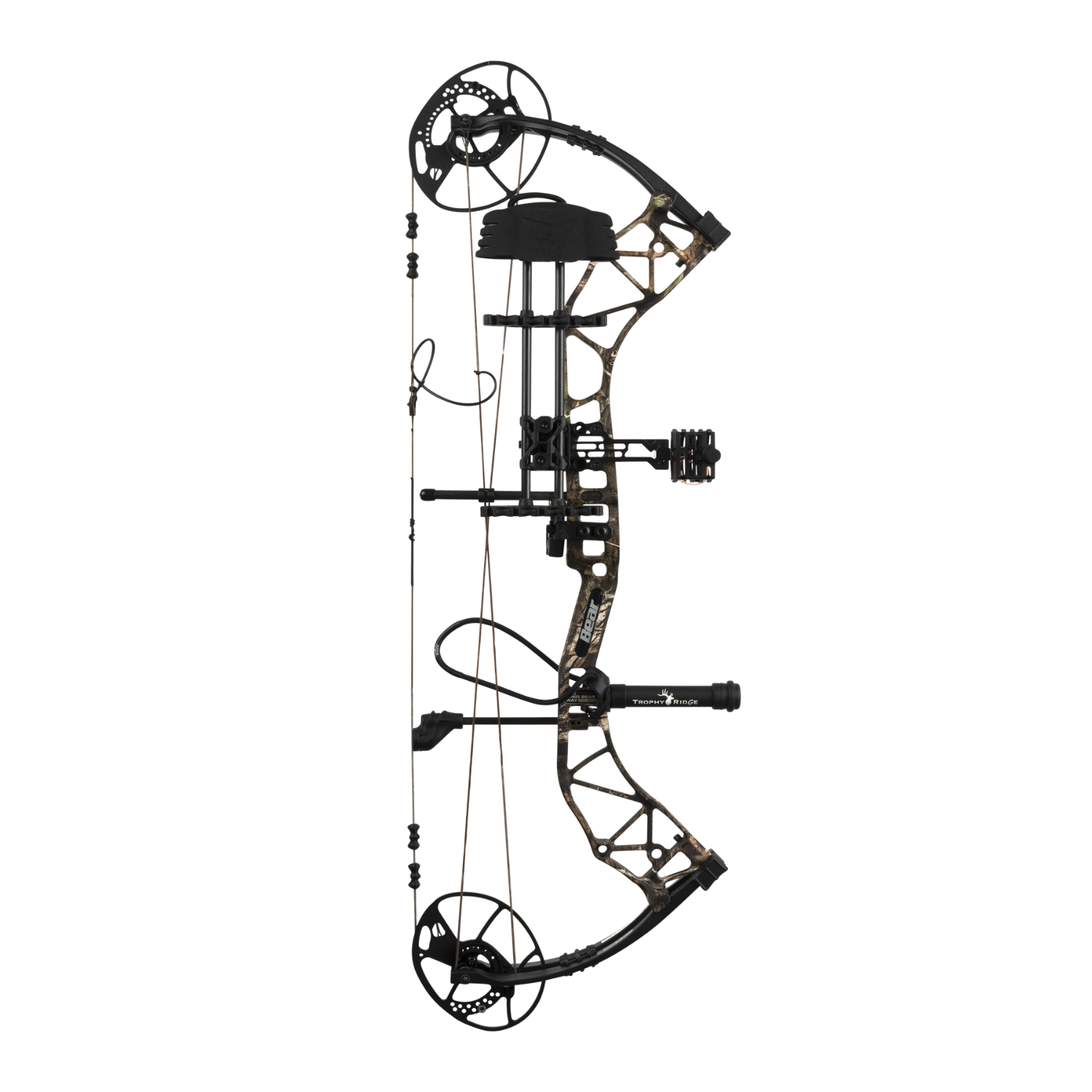 Bear Species EV, Image 2