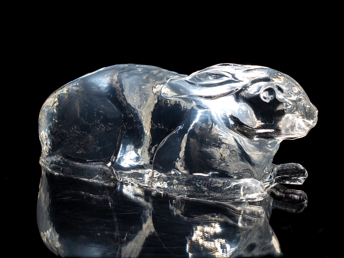 Clear Ballistic Gel, Image 5