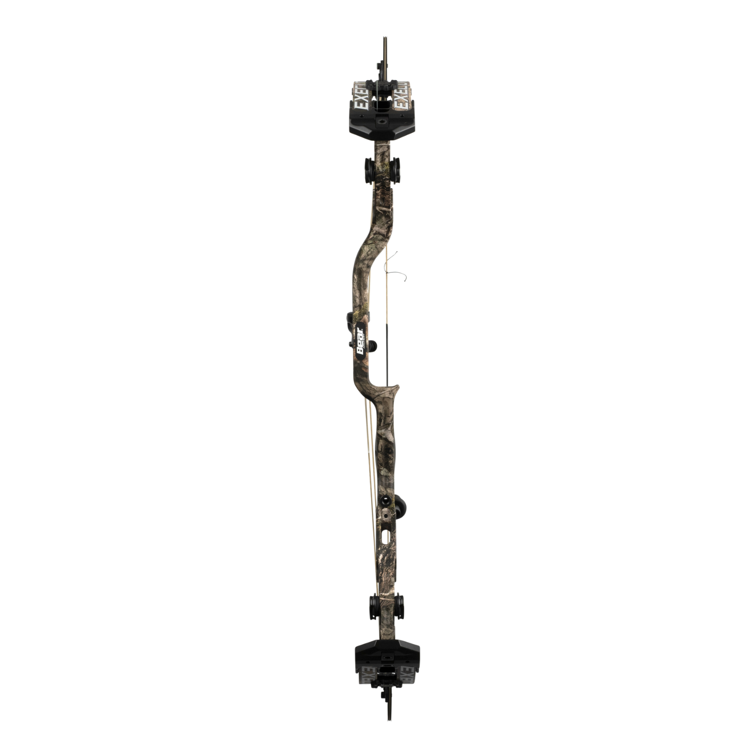 Bear Execute 30, Image 4