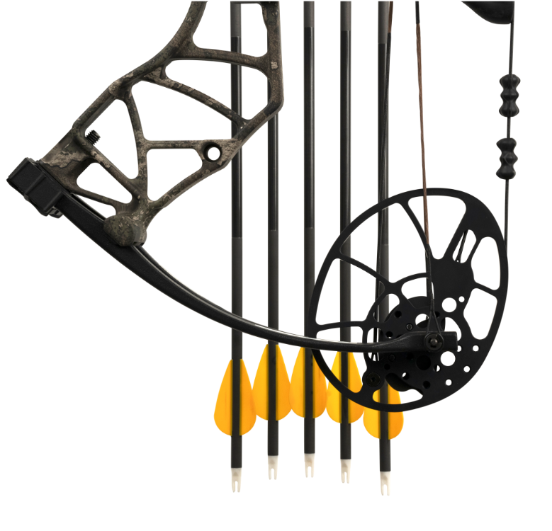 Bear Legend XR, Image 6