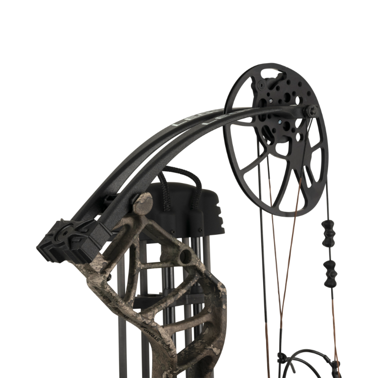 Bear Legend XR, Image 4