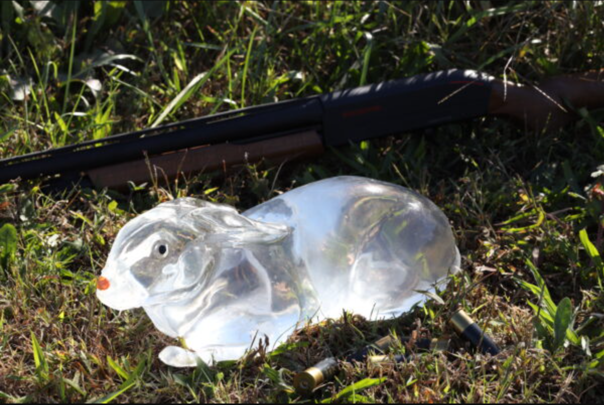 Clear Ballistic Gel, Image 2