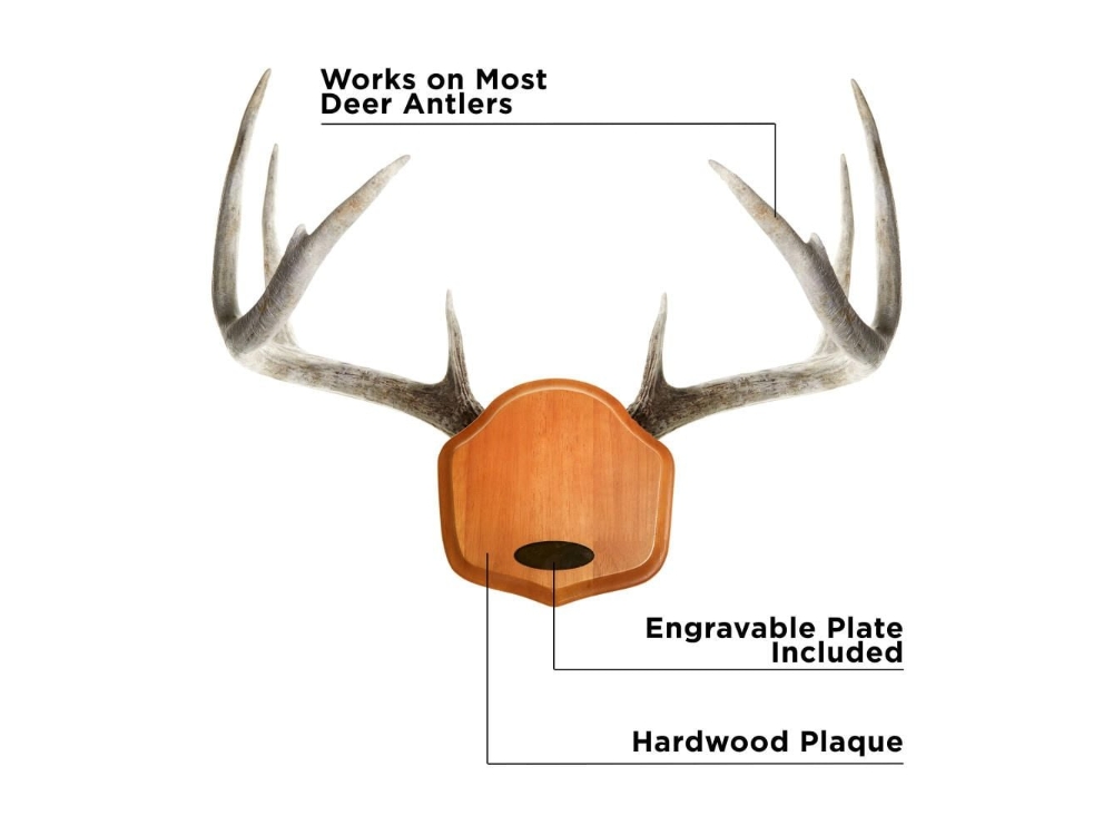 Allen EZ-Mount Showcase, Image 3