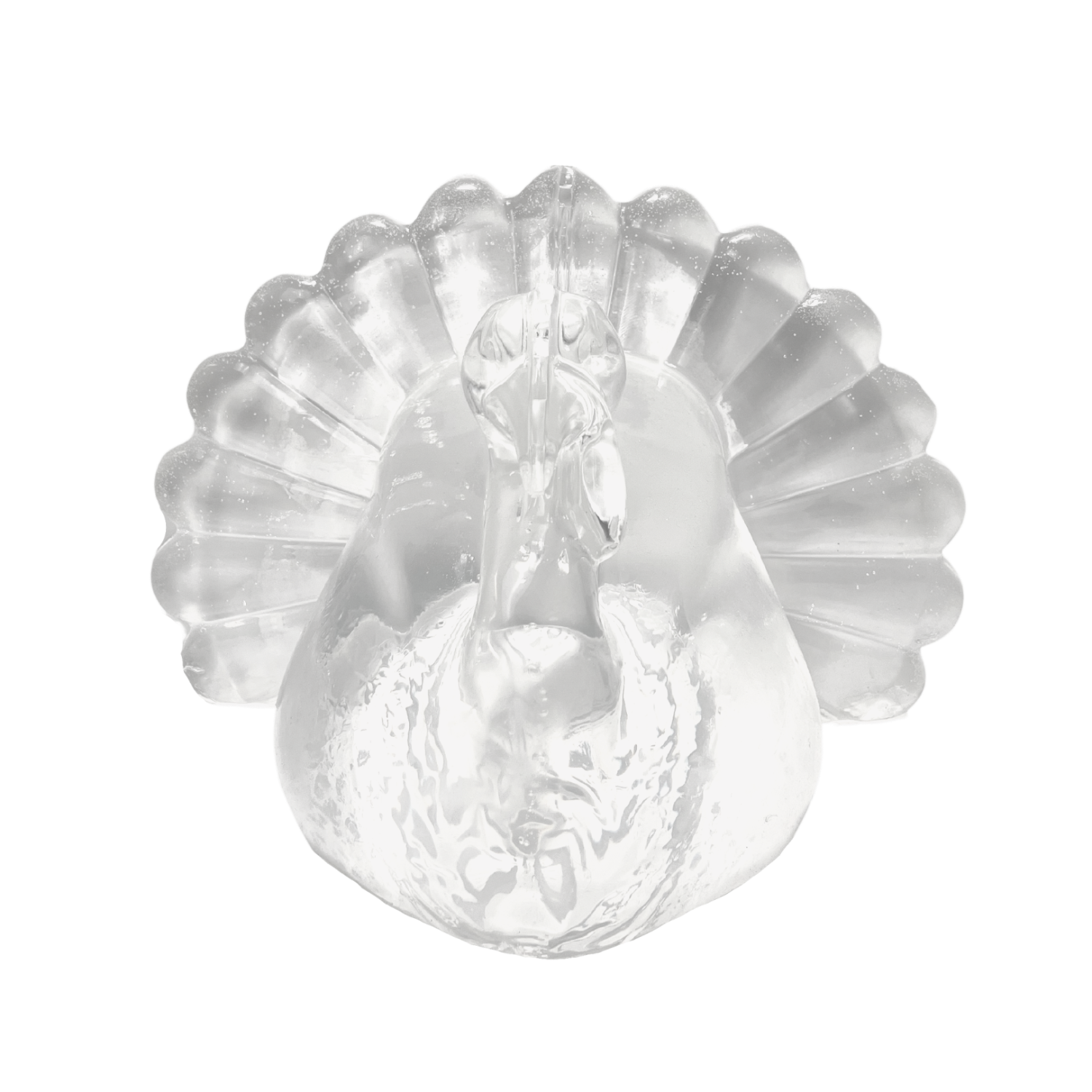 Clear Ballistic Gel, Image 2