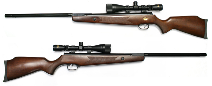 Beeman Heavy Target, Image 2