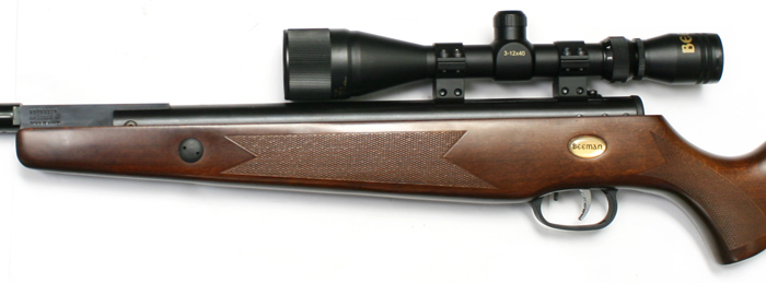 Beeman Heavy Target, Image 4