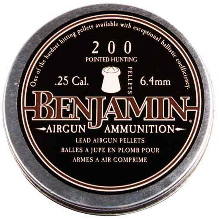 Benjamin Destroyer .25, Image 2