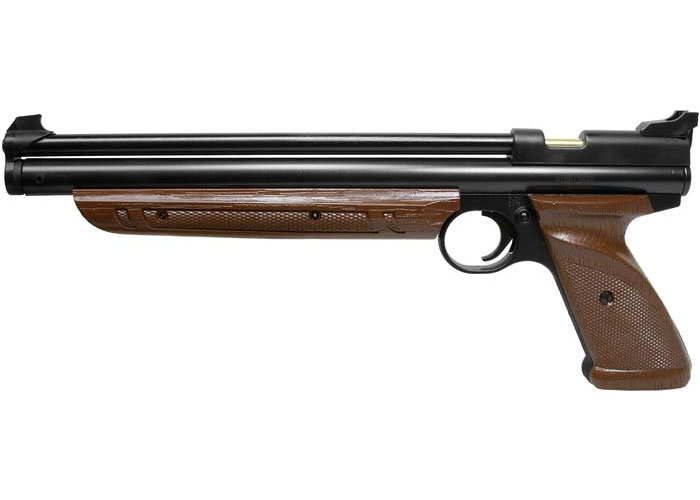 Modern Classic (Crosman, Image 2