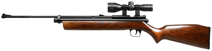 Crosman 2260SE, Image 2