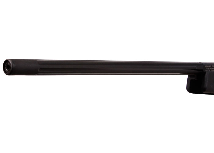 Winchester 1250SS Air, Image 6