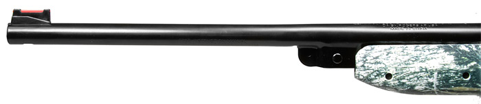 Daisy Model 4841, Image 3