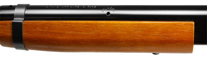 Daisy Model 10, Image 4