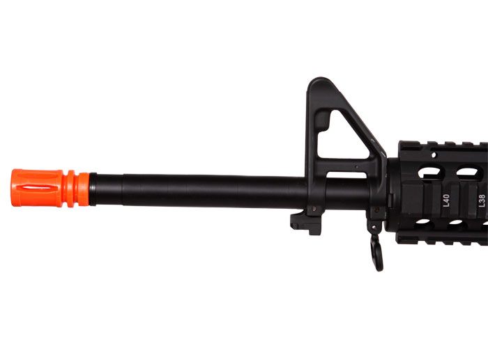 Echo 1 Stag, Image 6