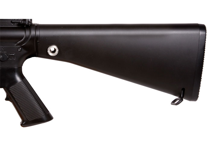 Echo 1 Stag, Image 9