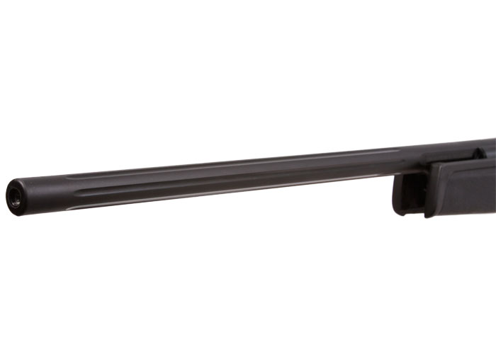 Gamo Big Cat, Image 5