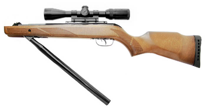 Gamo Hunter Elite, Image 3