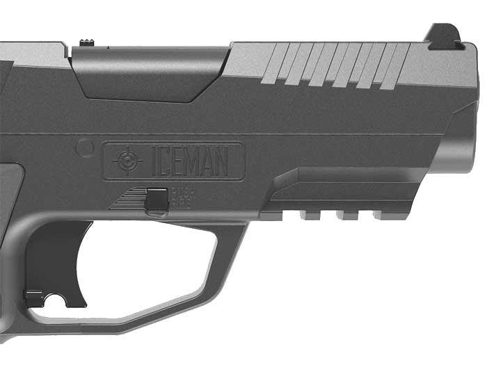 Crosman Iceman CO2, Image 4