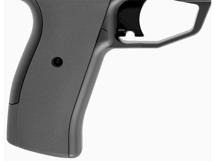 Crosman Iceman CO2, Image 6
