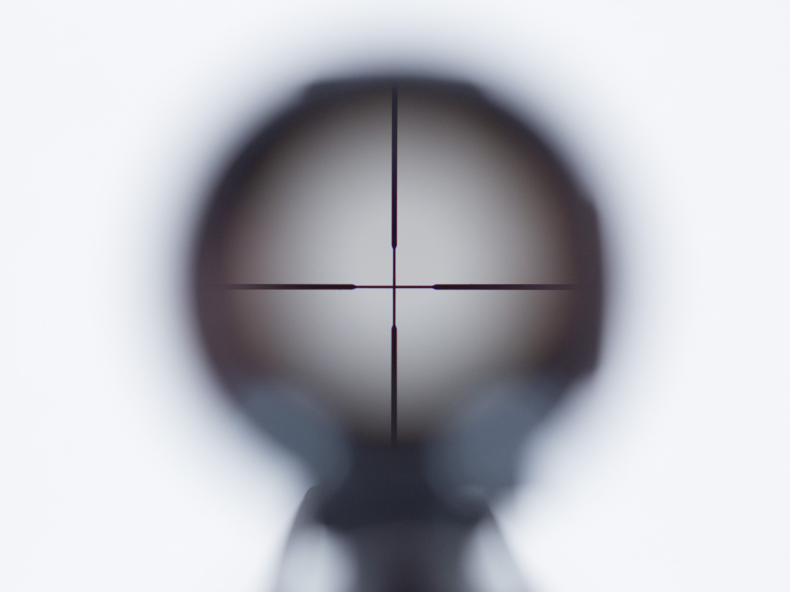 Crosman Silver Fox, Image 5