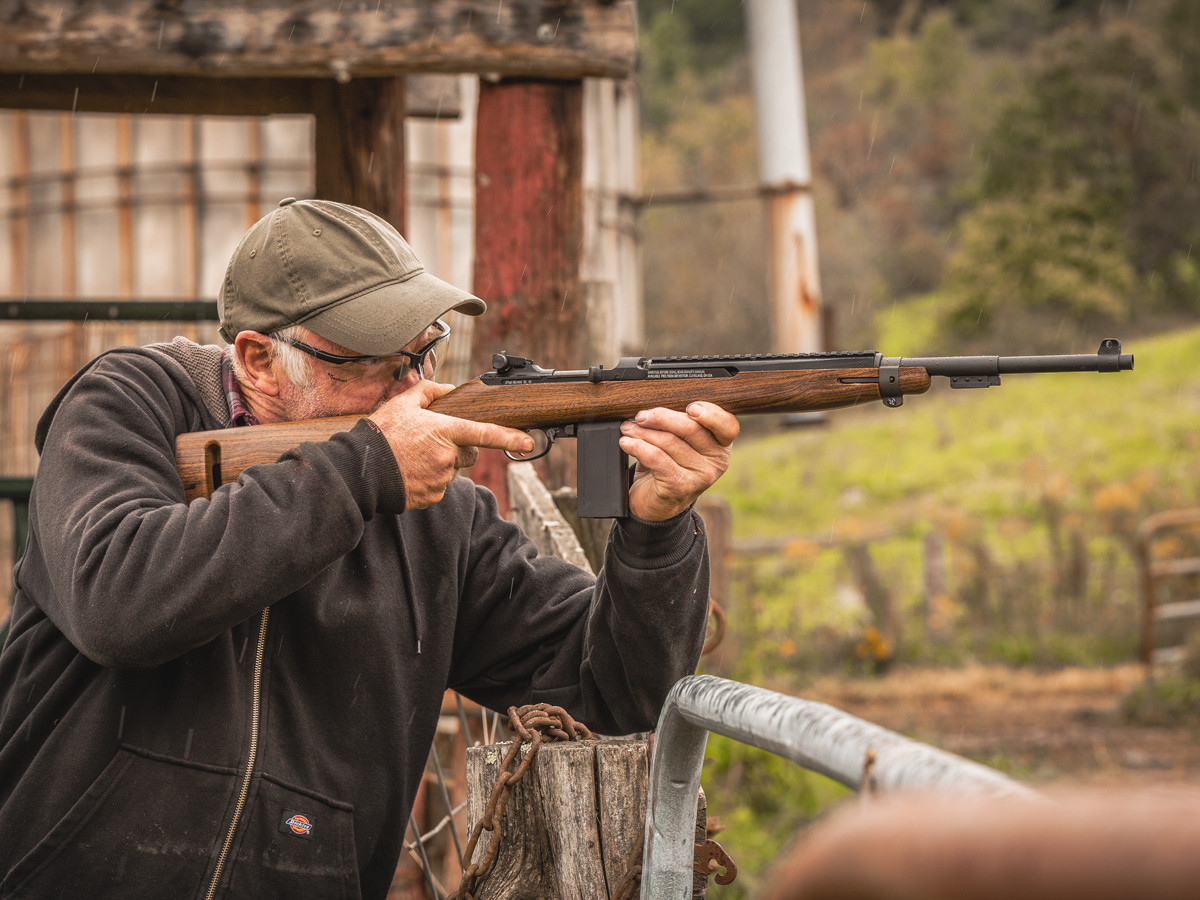 Springfield Armory M1, Image 3