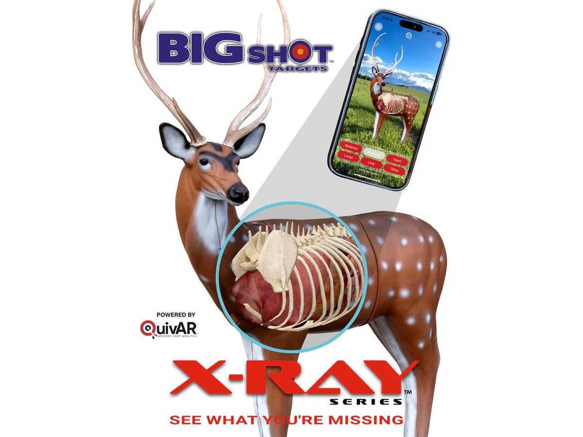 Big Shot RealWild, Image 2