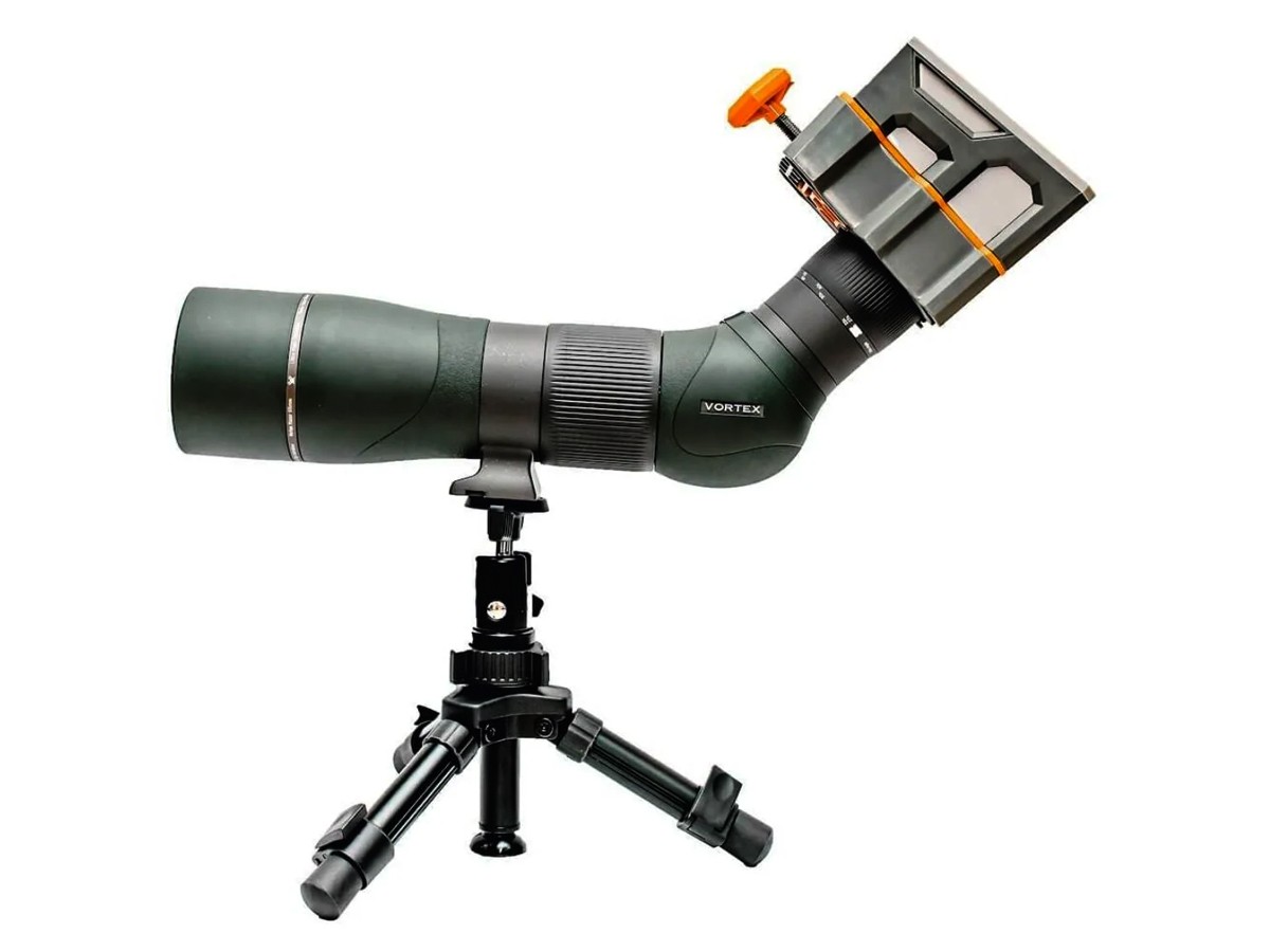 Lonshot Hawk Spotting, Image 4
