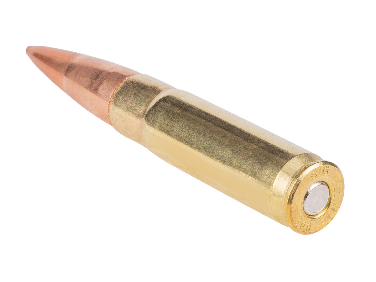 SIG Sauer .300, Image 4
