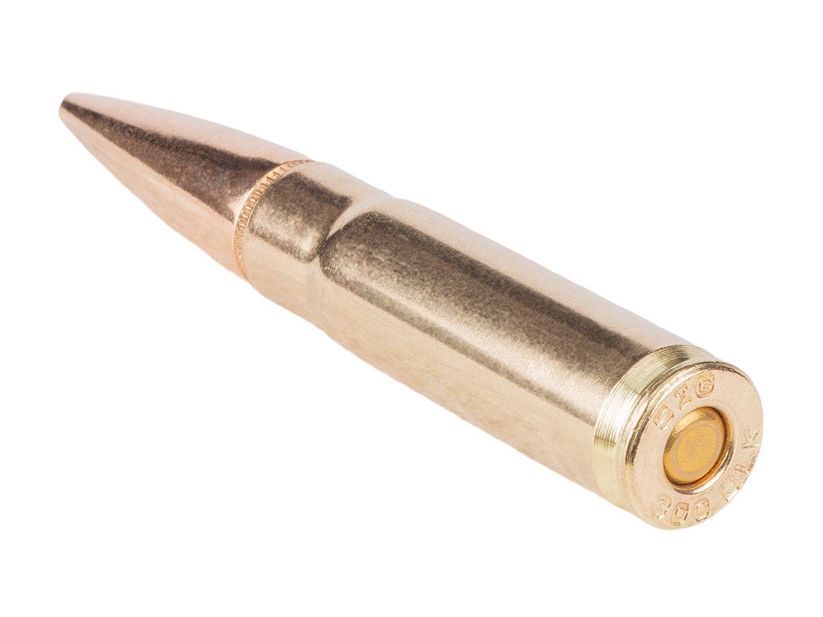 SIG Sauer .300, Image 4