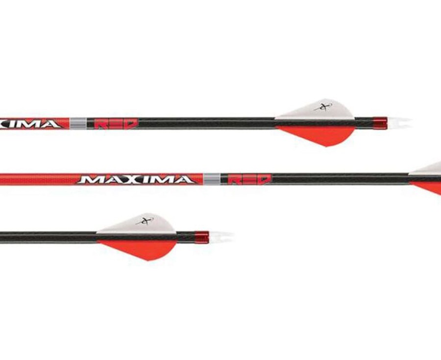 Carbon Express Maxima, Image 2