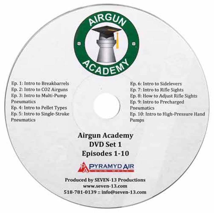 Pyramyd Air Airgun, Image 2