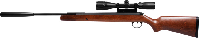 Diana RWS 34, Image 2