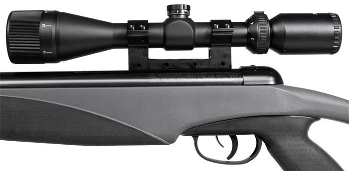 Remington Genesis w/3-9x40, Image 6