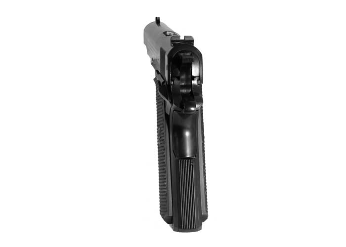 Crosman Stinger Challenge, Image 8