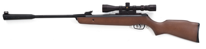 Gamo Whisper Classic, Image 2