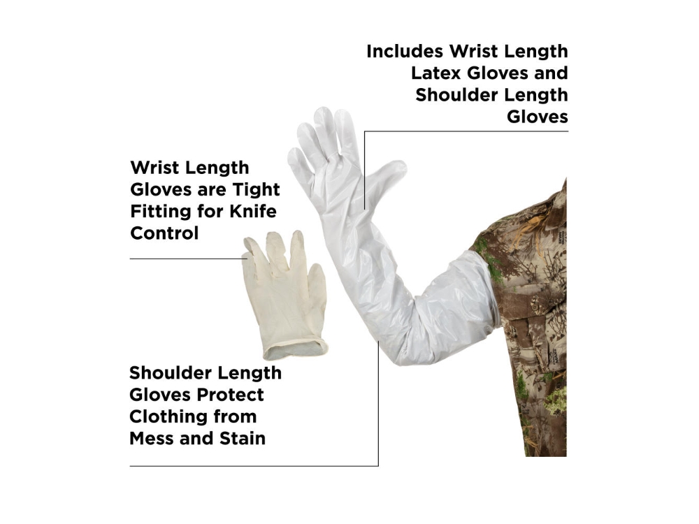 Allen Field Dressing, Image 3