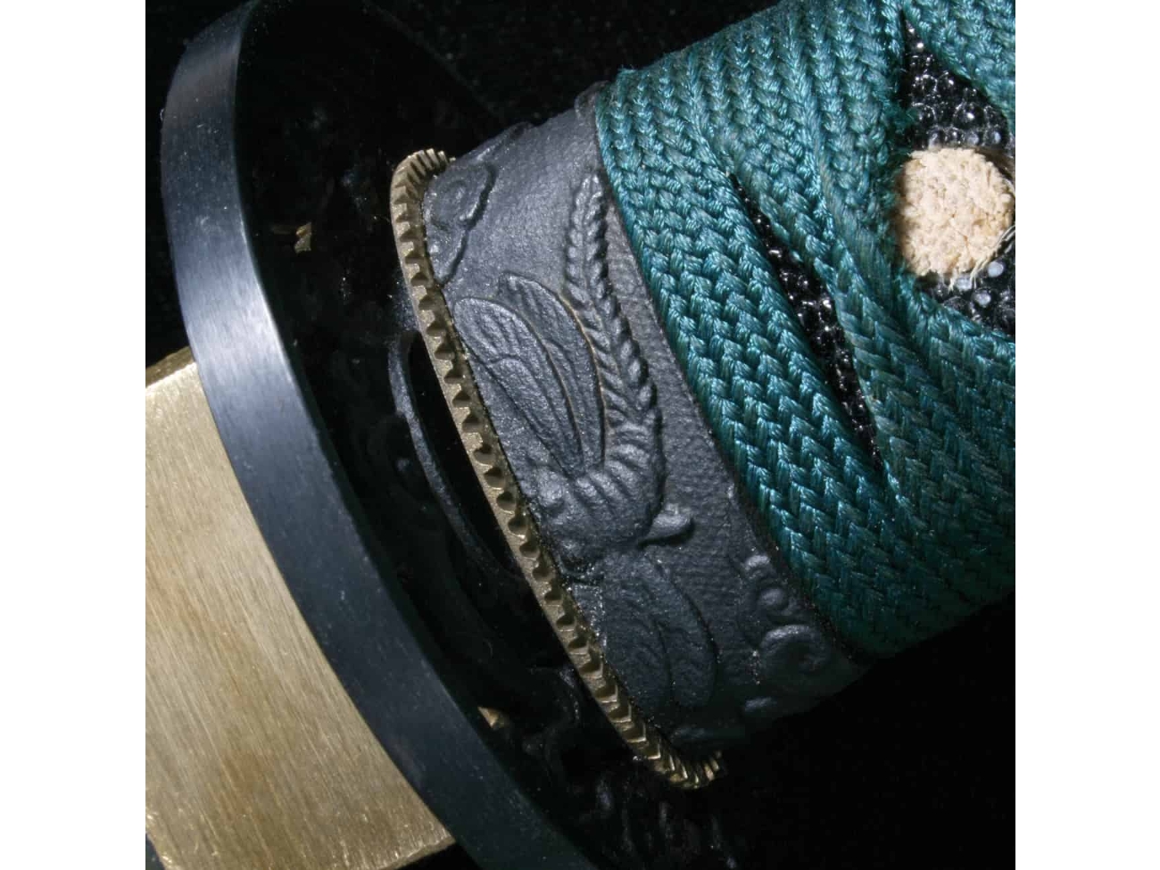 Cold Steel Dragon, Image 3