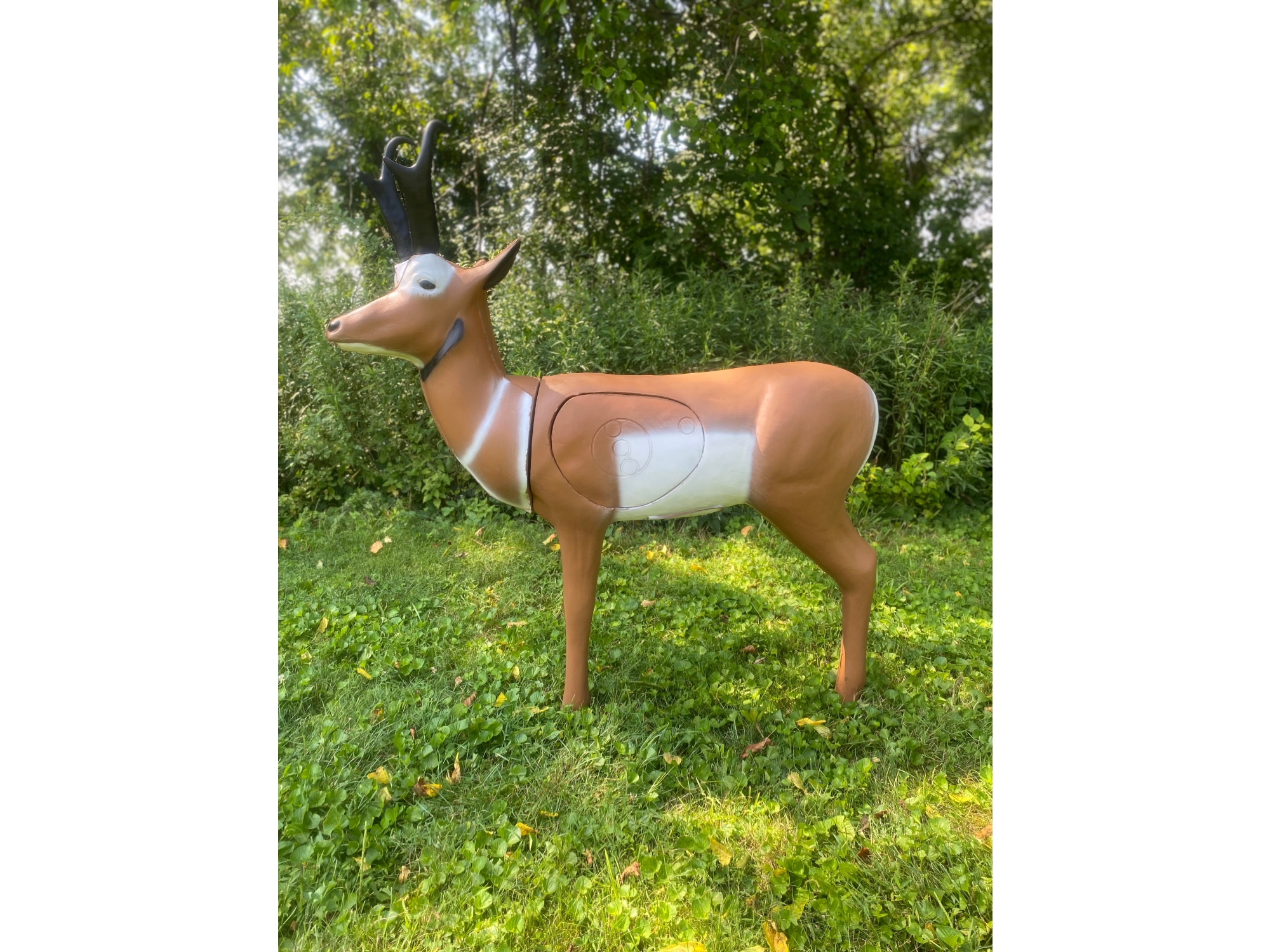 Real Wild 3D, Image 7