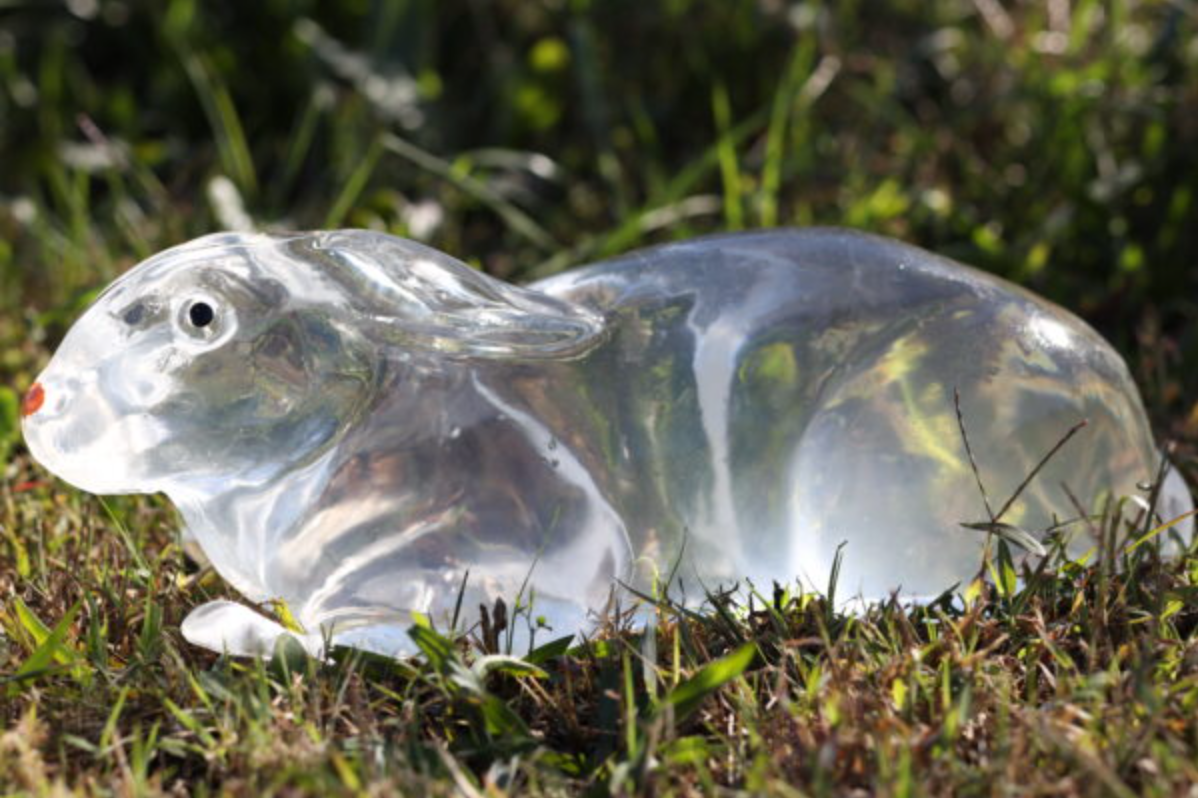 Clear Ballistic Gel, Image 3