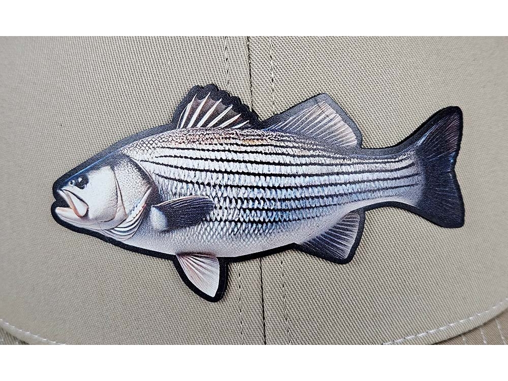 Artora Striped Bass, Image 3