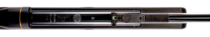 Diana RWS 34P, Image 5