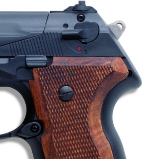 Gamo PT-80 with, Image 2